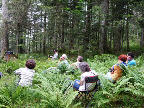 Écouter la forêt, spectacle vivant et musique en forêt