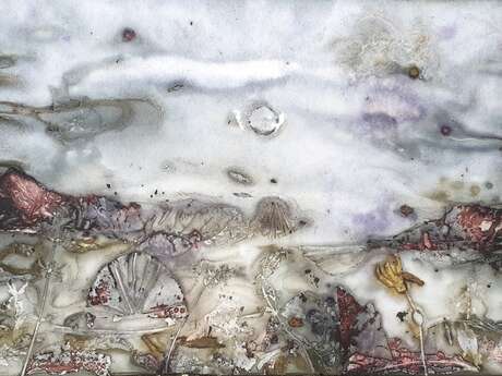 Exposition "Résultats alchimiques d' impressions végétales"