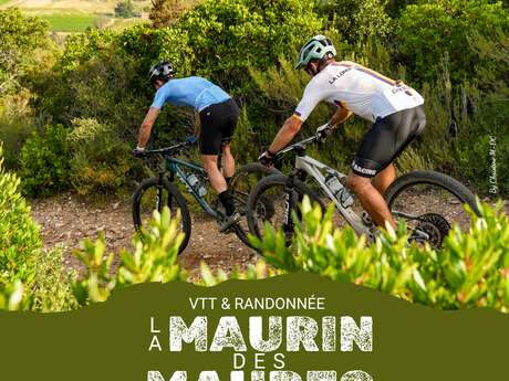 Rando VTT et Pédestre : La Maurin des Maures