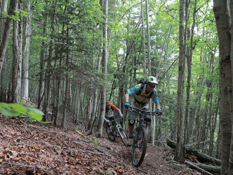 VTT n°12 - Parcours Enduro