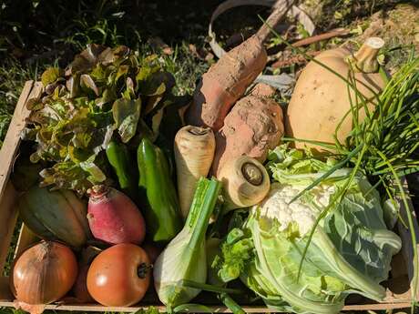 Jardin L'Orée d'Argens