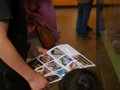 le 1er février ouvrez l'oeil, le Grand Site de France de l'Aven d'Orgnac rouvre en mode jeu !