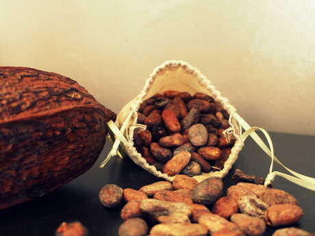 Choco-explorateurs : à la recherche du trésor caché des Aztèques