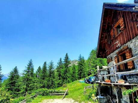 Week-end refuge - Reconnexion végétale