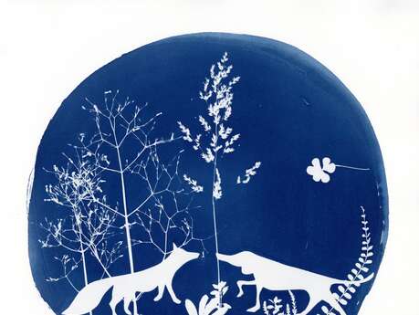 Atelier cyanotype