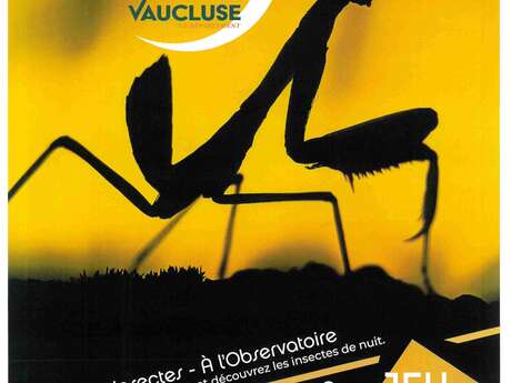 Rendez-vous nature « Étoiles et insectes »  - Le Naturoptère