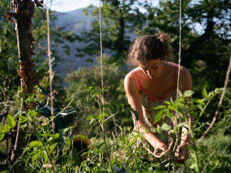 Séjour "Gestes premiers" : Cueillir, construire, se chauffer