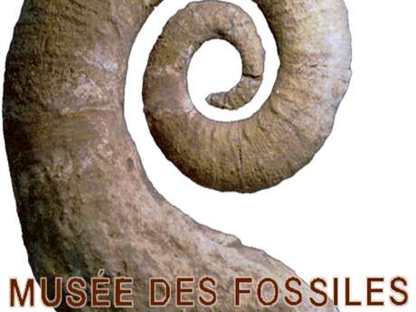 Musée des fossiles Victor Zaneboni