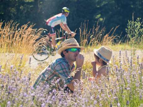 La route des lavandes by bike