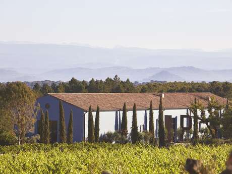 Ultimate Provence | UP - Domaine viticole Ultimate Provence | UP - Domaine viticole