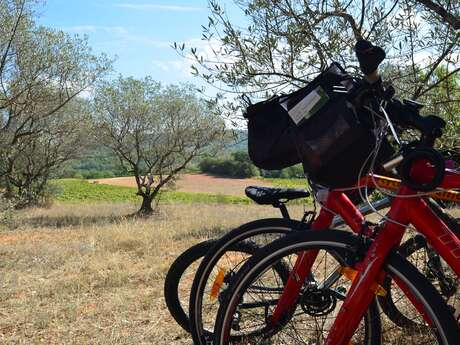 Boucle découverte à vélo : Sur le Pays d'Aigues à vélo (est)