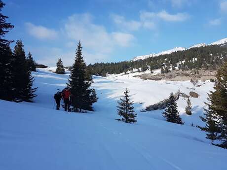 Cours Ski de randonnée nordique - OUREA Sports Outdoor