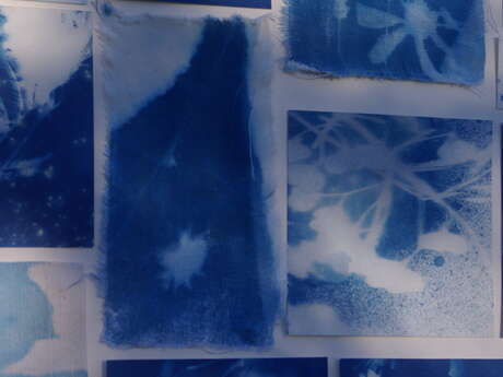 Atelier cyanographie « Les herbiers imaginaires »