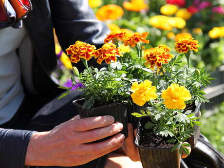 15ème Foire aux Fleurs et aux Saveurs