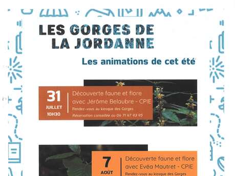Découverte de la faune et flore aux Gorges de la Jordanne