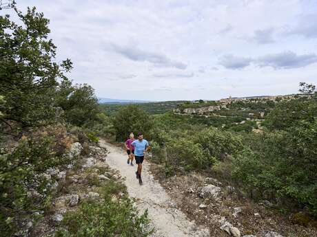 TV08 - Fond de Nesque