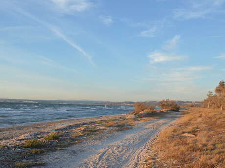 Randonnée commentée  : Lido du Jaï, nature sauvage entre deux étangs