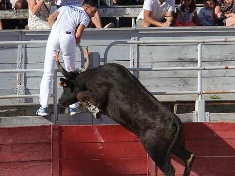 Féria de Pâques - Course Camarguaise