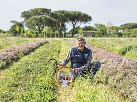 Les Aromatiques de Ré
