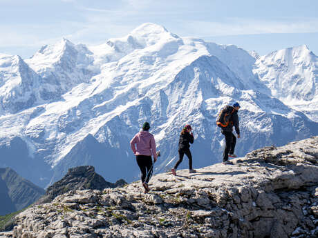 L'Odyssée des Fossiles