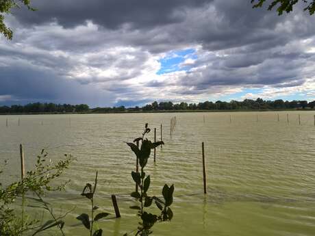 Etang du Grand Birieux, ENS de l'Ain