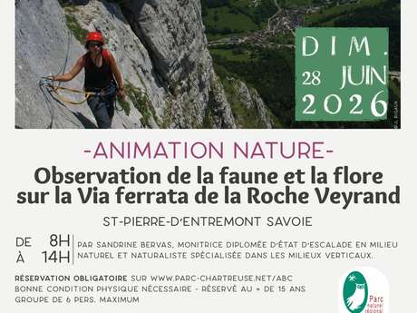 Observation de la faune et la flore sur la Via ferrata de la Roche Veyrand