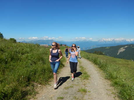 1/2 day hike