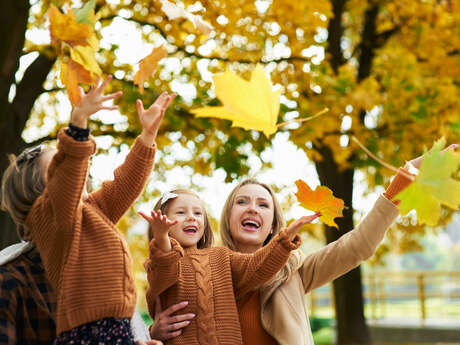 Autumn Festival