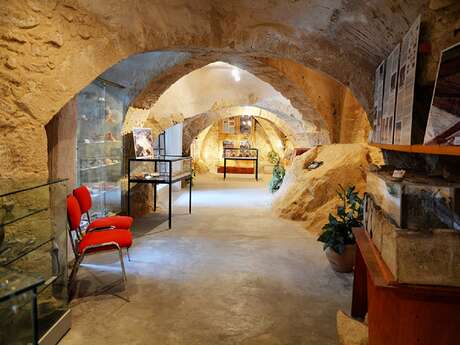 Musée Géologique