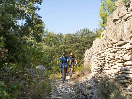 MTB Nr. 43 –  Vom Zedernhain zum Croix de Lagnes