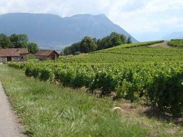 Domaine des Grandes Combes