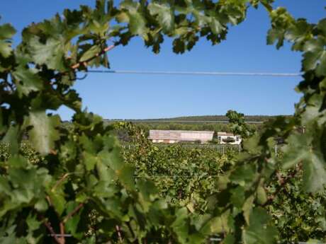 Domaine de Belambrée