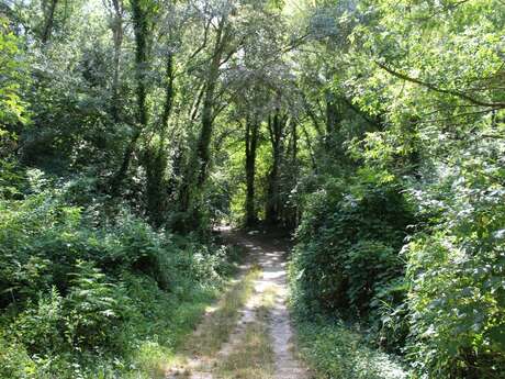 Parcours - Les berges des Sorgues à Bédarrides