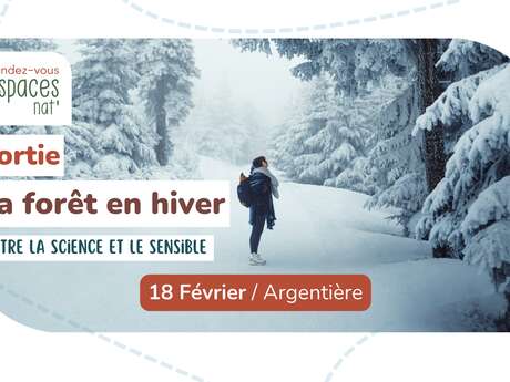 Sortie nature : La forêt en hiver