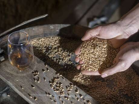 Atelier Tour de France des Whiskys au château du Barroux