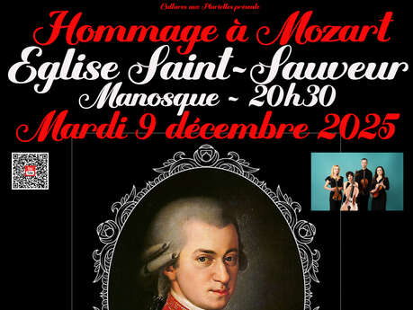 Wolfgang Amadeus Mozart, hommage à Mozart