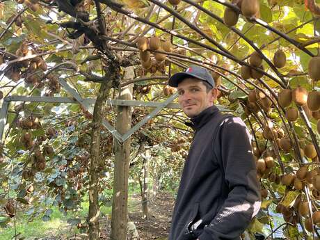 Les vergers Delvolve