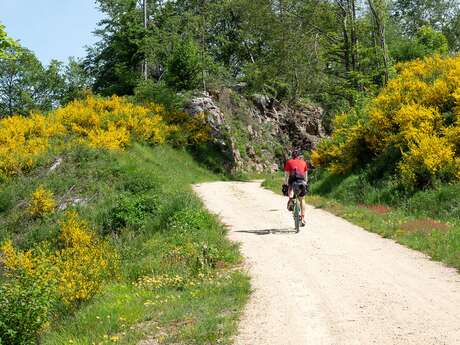 Le Tour du Collet à VTT (N°4)