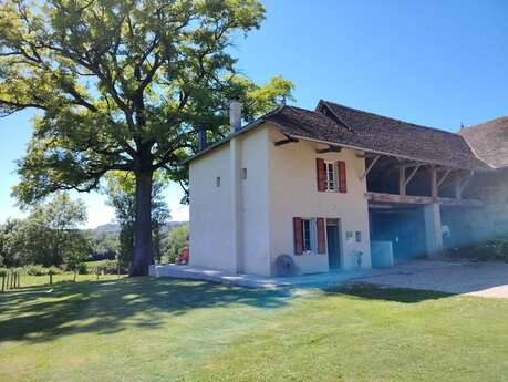 Gîte "Le Vieux Chêne"
