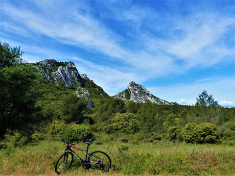 MOURIÈS - Alpilles-Roquemartine à vélo : l'intégrale