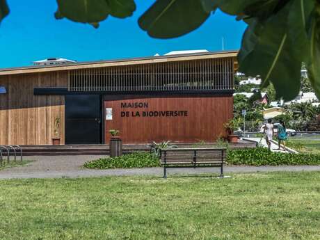 Maison de la Biodiversité - Visite ornithologique de la mangrove