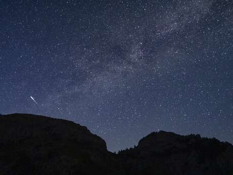 Astronomie et perséides : observation du ciel étoilé