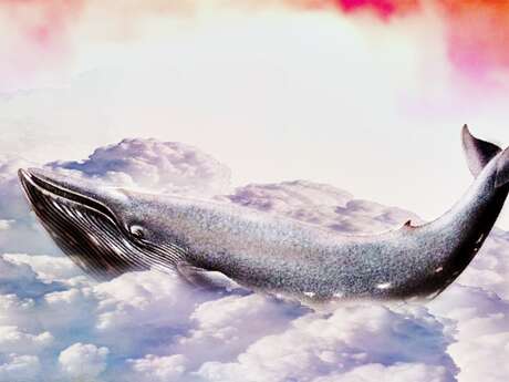 Des baleines dans le Léman et autres manifestations poétiques