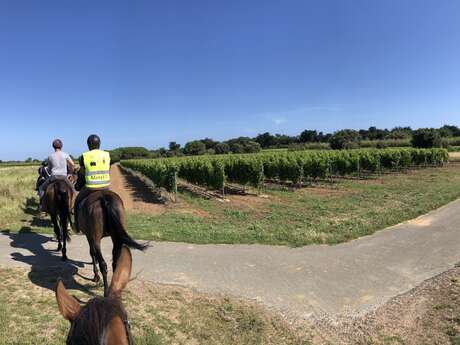 Horse ride and tasting of local products by the Cave Coopérative