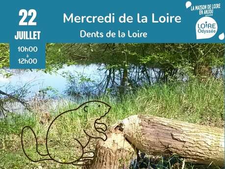 Animation: the Dents de la Loire with Loire Odyssée