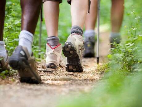 Randonnée - Les chevriers des Tarabias