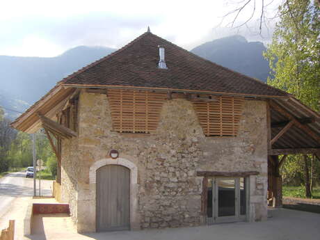 Eveil à la nature pour les tout-petits (0-3 ans)