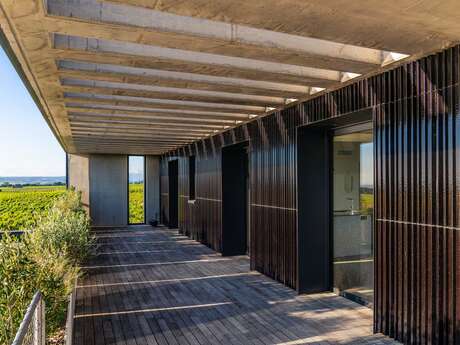 Rooftop dans les vignes !