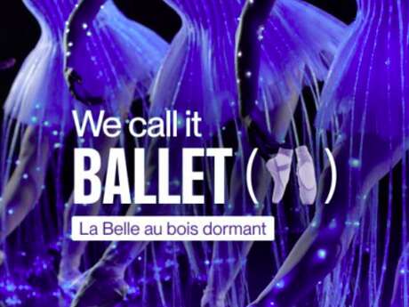 La Belle au Bois Dormant