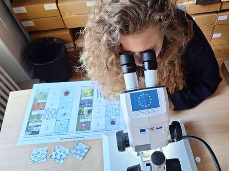 Atelier "Prends-en de la graine !"